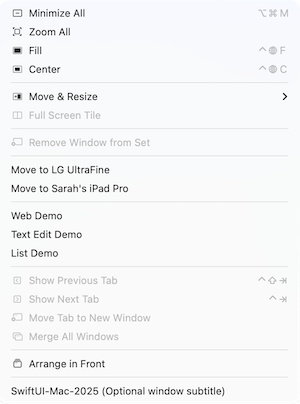 Window menu